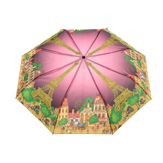 Зонт женский Raindrops RD05222815 розовый/зеленый