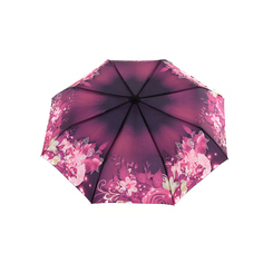 Зонт женский Raindrops RD0522814 пурпурный/черный