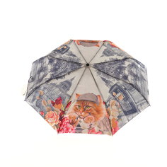 Зонт женский Raindrops RD0522814 серый/оранжевый