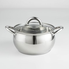 Кастрюля Доляна 3,5 л серебристый