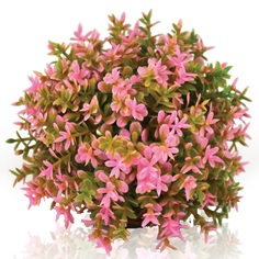 Искусственное растение для аквариума biOrb Розовый цветочный шар, пластик, керамика, 8см