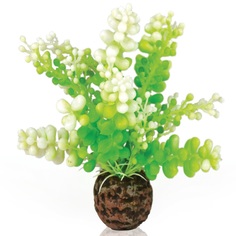 Искусственное растение для аквариума biOrb Водная зеленая каулерпа, пластик, 13см