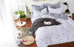 Постельное белье из микросатина TANGO DREAM FLY DF-237-50 50х70 (2шт) семейное