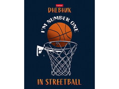 Дневник для 1-11кл. 40л А5ф твердый переплет 3D лак -Street ball- Hatber