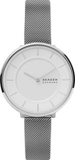 Наручные часы женские Skagen SKW3016 серебристые