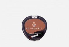 Тени для бровей одинарные Shinewell