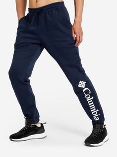 Брюки мужские Columbia Trek Jogger, Синий, размер 56