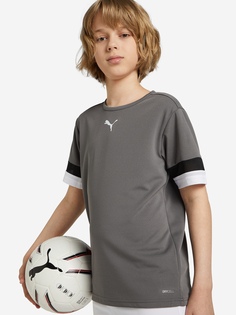 Футболка для мальчиков PUMA teamRISE Jersey, Серый, размер 111-116