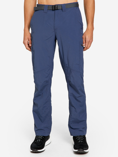 Брюки мужские Columbia Silver Ridge Cargo Pant, Синий, размер 56/32