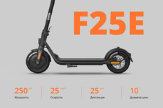 Электросамокат Ninebot F25E, Серый, размер Без размера