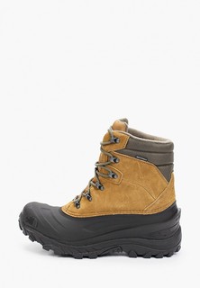 Ботинки трекинговые The North Face