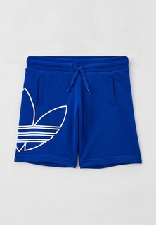 Шорты спортивные adidas Originals