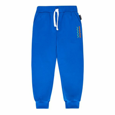 Брюки детские Bossa Nova 496В22-462 цв. синий р. 122