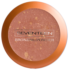 Пудра Seventeen Bronzing Powder 01