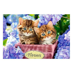 Алмазная мозаика Котята 10 х 15 см No Brand
