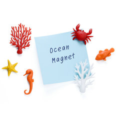 Набор из 6 магнитов для холодильника ocean, Qualy, QL10337-MX
