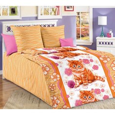 Простыня 60х120 на резинке бязь Рыжик компаньон (борт 12 см) Ивановотекстиль