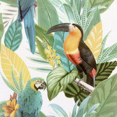 Обои Arthouse "Toucan Jungle" 296803