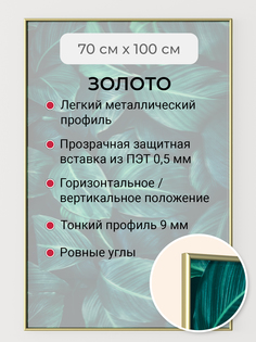 Фоторамка Первое ателье "Золотая алюминиевая рамка 70х100 см"