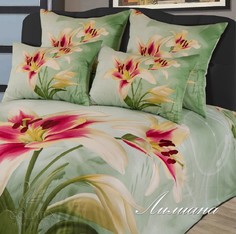 GOLDTEX Постельное белье Лилиана (2-х спальное)