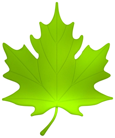 Подпорка для двери Qualy Autumn зеленая