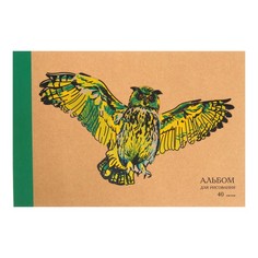 Альбом для рис А4, 40 л на клею Яркий филин, обл крафт-карт, выборочный лак, прочный 120 Канц Эксмо