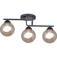 Люстра потолочная Reluce 32317-0.3-03