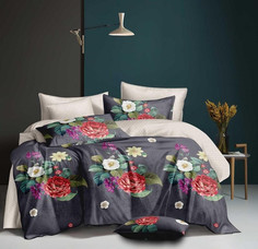 Постельное белье из микросатина TANGO DREAM FLY DF-414 50х70 (1шт), 70х70 (1шт)
