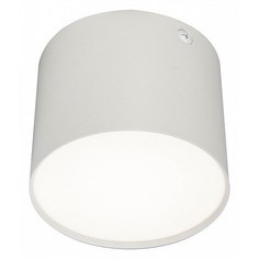 Накладной светильник 20004 20004SMU/01LED SWH Escada
