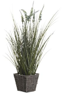 Вейник остроконечный в корзине Высота 55 см Garda Decor