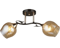 Люстра потолочная Reluce 04080-0.3-02