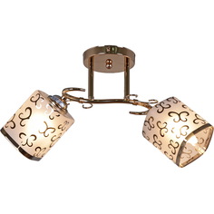 Люстра потолочная Reluce 05031-0.3-02B FGD