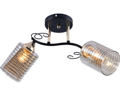 Люстра потолочная Reluce 01255-0.3-02 BK+FGD