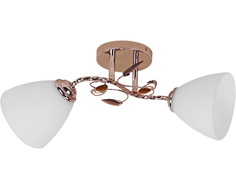 Люстра потолочная Reluce 00997-0.3-02 FGD