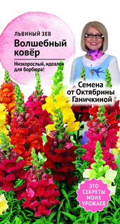 Семена львиного зева Волшебный ковер 0.05 г, Октябрина Ганичкина