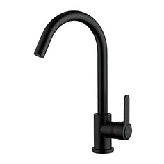 Смеситель для кухни Frud R42052-12, черный