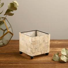 Подсвечник Кемай 9х9х9 см ракушка No Brand