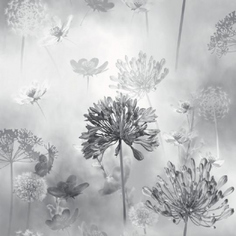 Обои Arthouse "Florals" 697401