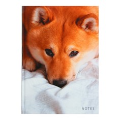 Колледж-тетрадь А5, 100 л, тв обл, Пушистый напарник, лам Soft touch, кл/точка, 70 г/м2 Канц Эксмо