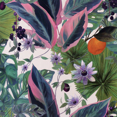 Обои Arthouse "Passion Flower" 921704