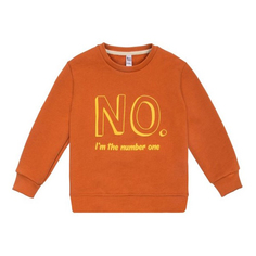 Свитшот детский Bossa Nova 203О21-461 цв. кирпичный р. 110