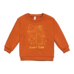 Свитшот детский Bossa Nova 210О21-461-А цв. кирпичный р. 92