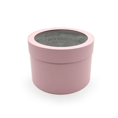 Коробка с прозрачной крышкой АЙРИС, нежно-розовый, 22,5*15 см