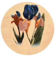 Тарелка настенная 27 см декор Ирис Thun