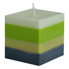 Свеча декоративная (10x8 см) WBT.523 Wow Botanica