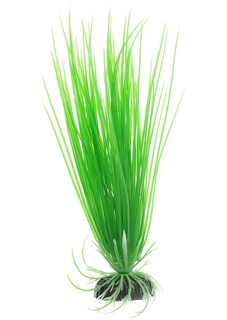Искусственное растение для аквариума Barbus Акорус зеленый Plant 007 20 см, пластик