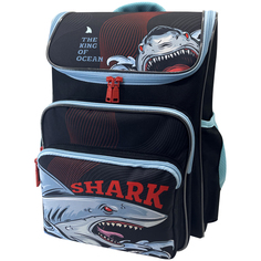 Ранец ArtSpace облегченный Happy School Shark 39*28*18 см черный 331198