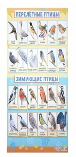 Картины, панно, репродукции, плакаты 1972612bb JoyArty No Brand