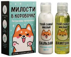 Набор «Милости в коробке» шампунь, бальзам 5248271 Beauty Fox