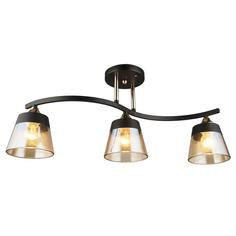 Потолочная люстра Escada Argus 1129/4PL Grey